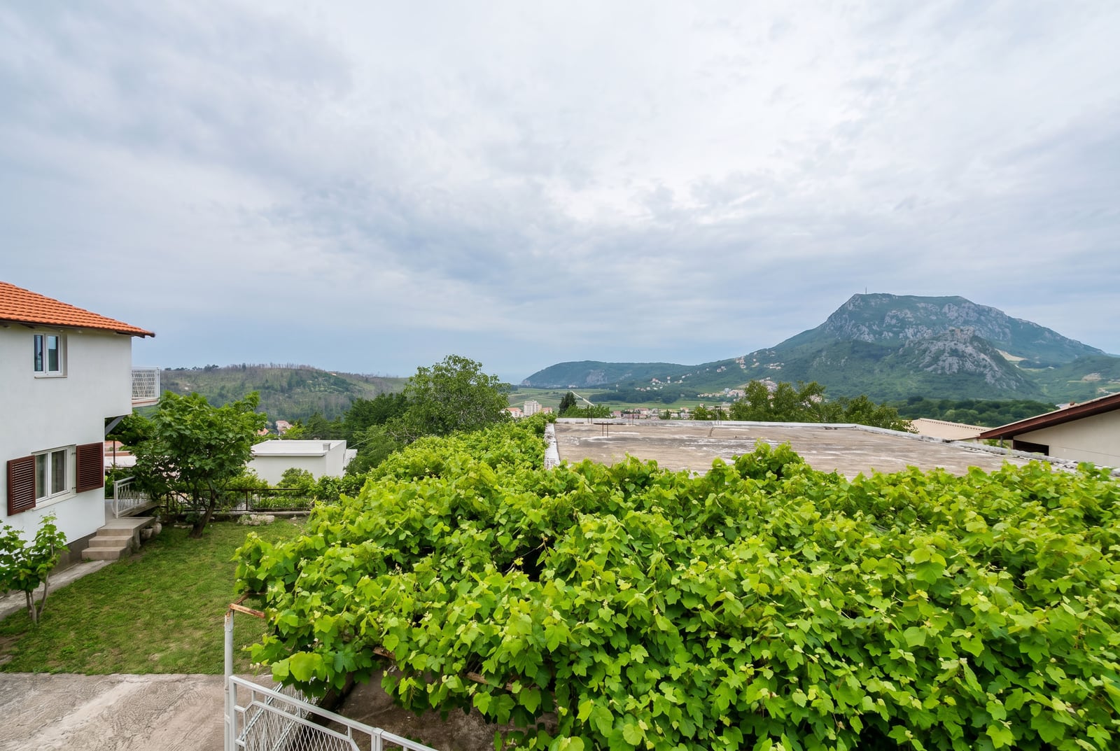 Mountain and green garden view with a vineyard at a private house in Sutomore, Montenegro. Property photo #1625.