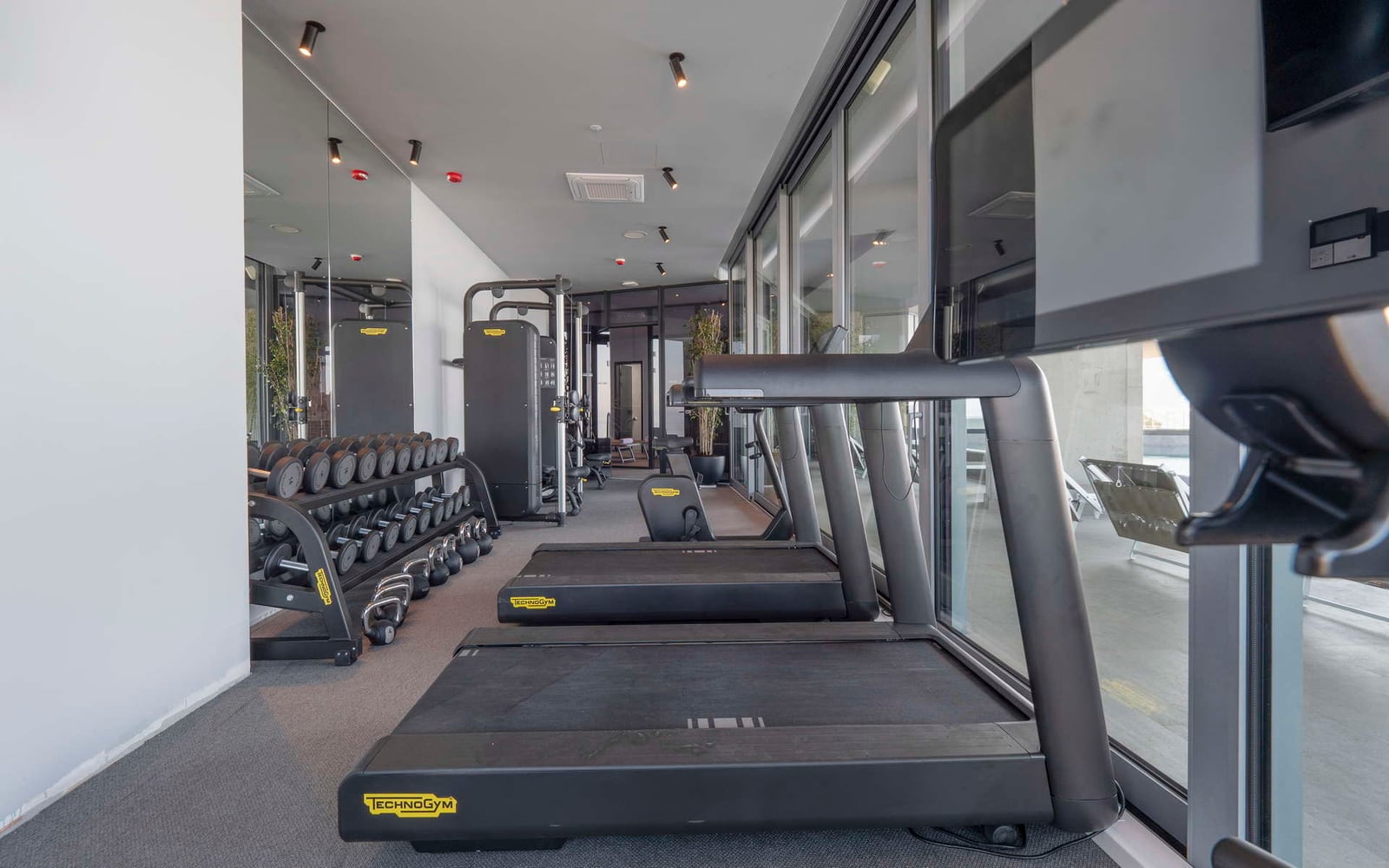 Fitness room featuring Technogym treadmills, dumbbell racks, and weight machines near glass walls.