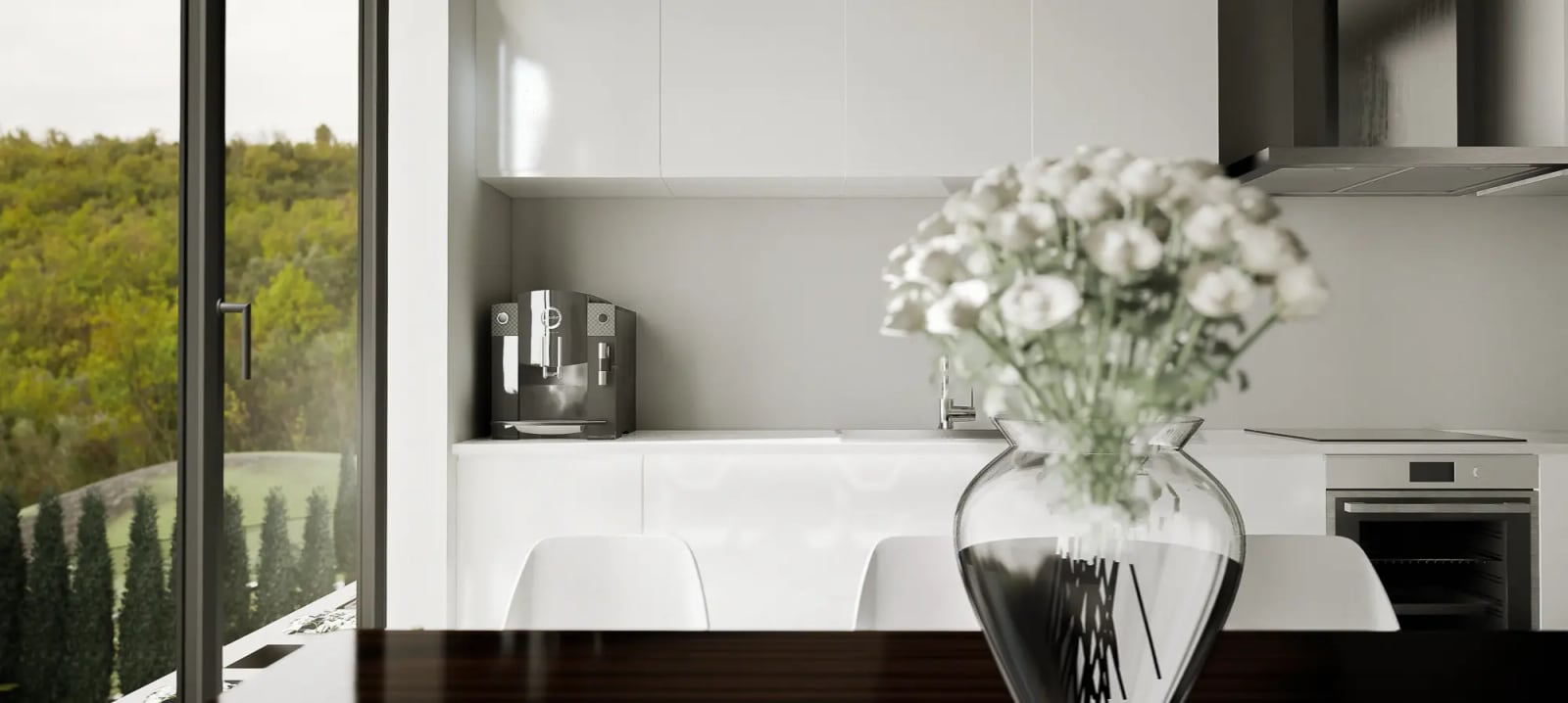 Modern white kitchen in a townhouse, Rezevici, Montenegro: built-in appliances, view of greenery from a panoramic window.