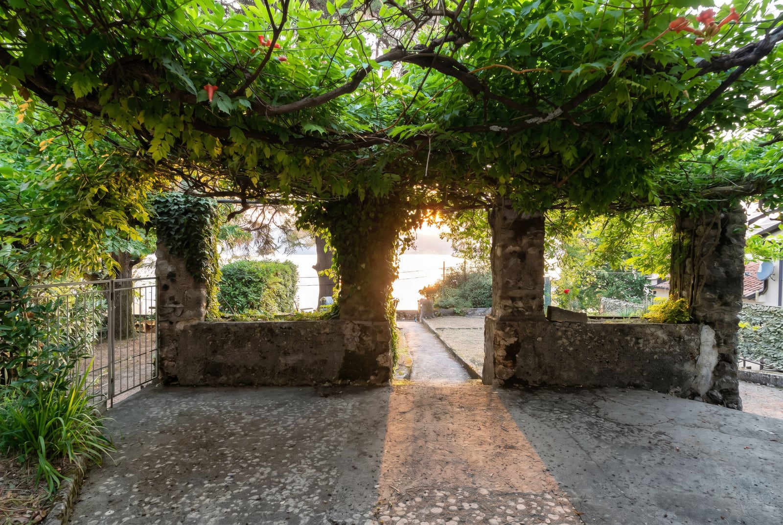 Green terrace with stone columns and a sea view in Dobrota, Montenegro. Plot of house #2801 in the shade of a vineyard.