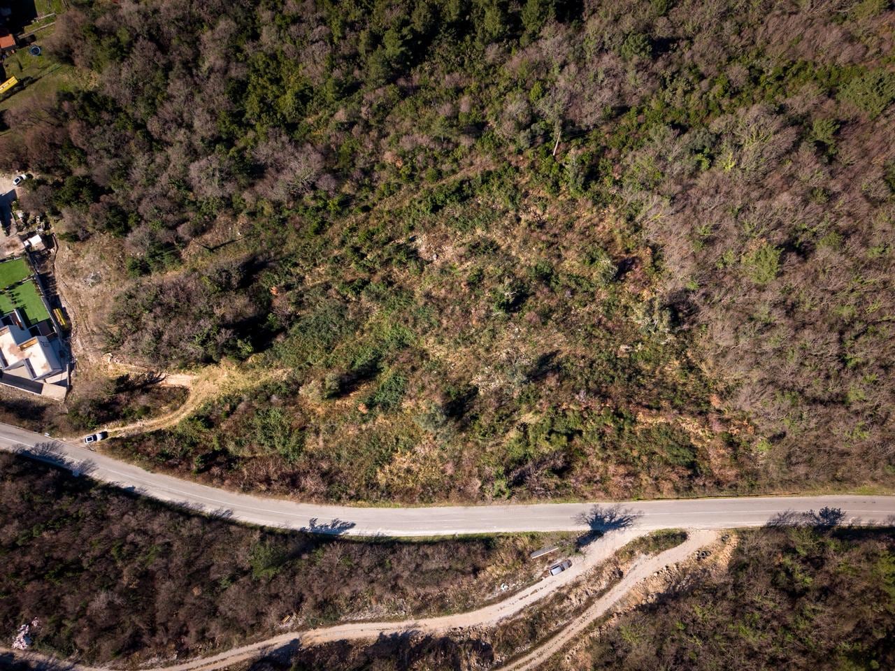 Building plot in Kotor, Montenegro: aerial view of a forested area with an asphalt road.