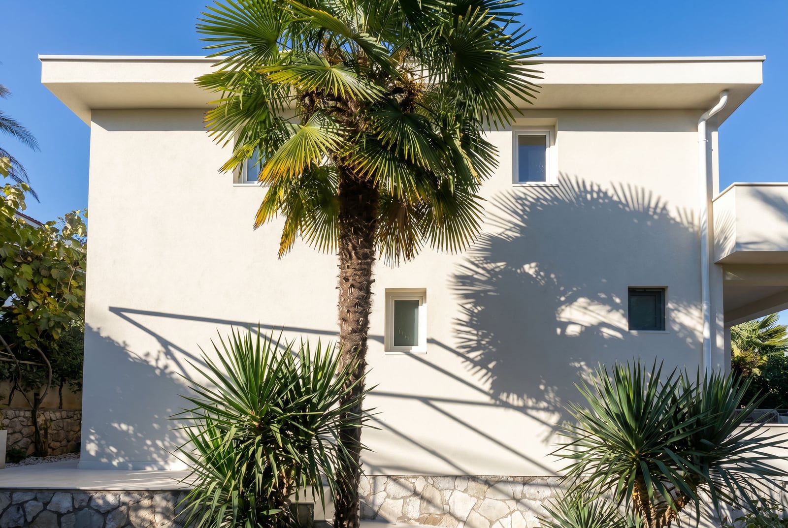 Facade of a modern villa in Krašići, Montenegro, with palm trees and stone base detailing on a sunny day.