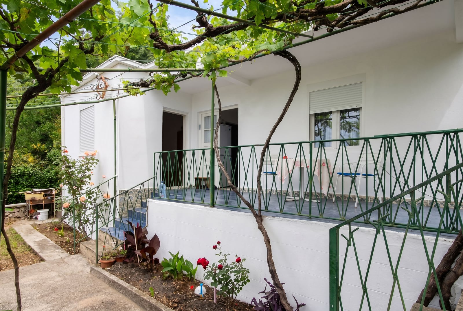 White house with a terrace and grapevines in Sutomore, Montenegro: view of the facade and a cozy garden with flowers.