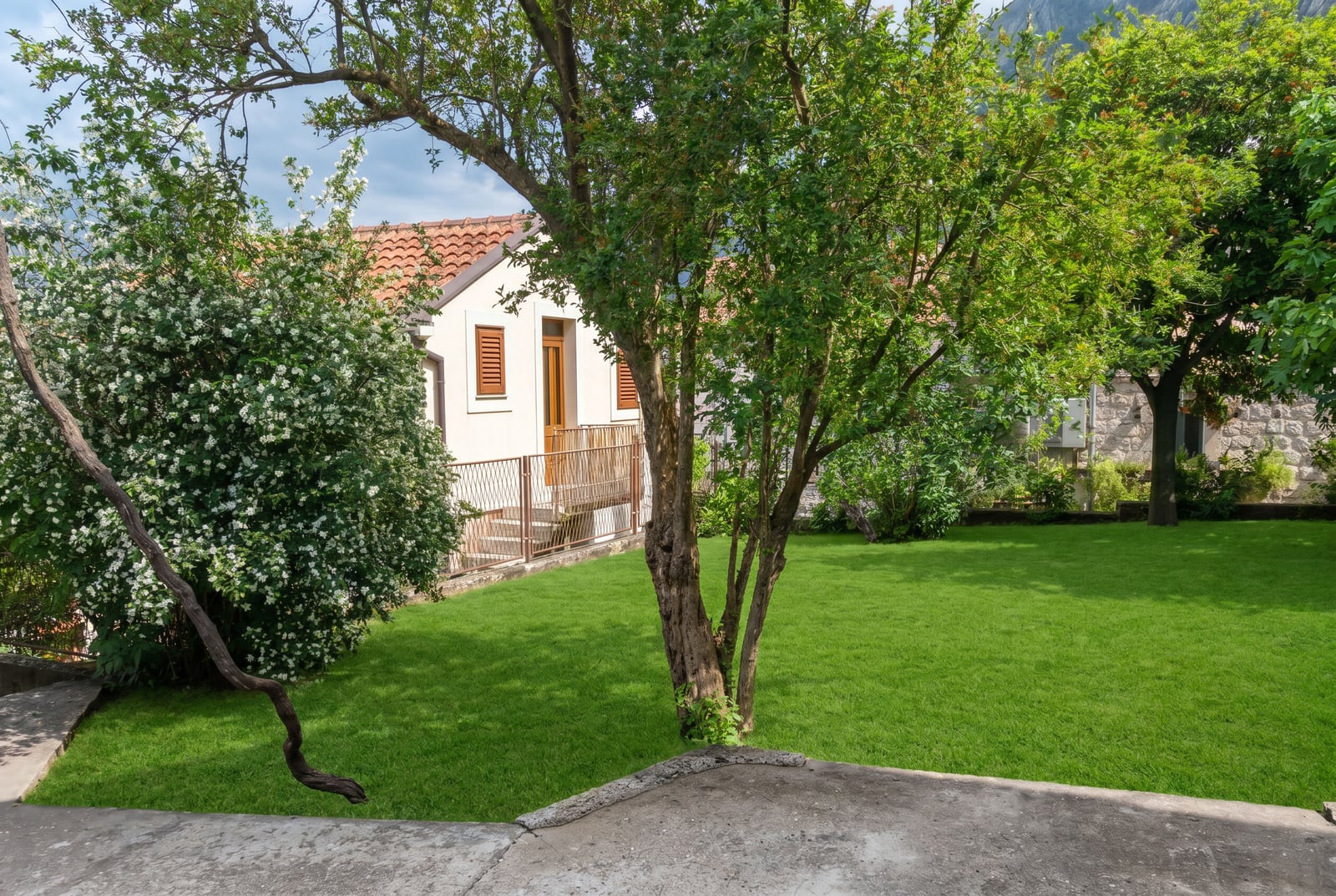 Cozy house with a garden and green lawn in Dobrota, Montenegro: view of the property with blooming trees and a terrace.