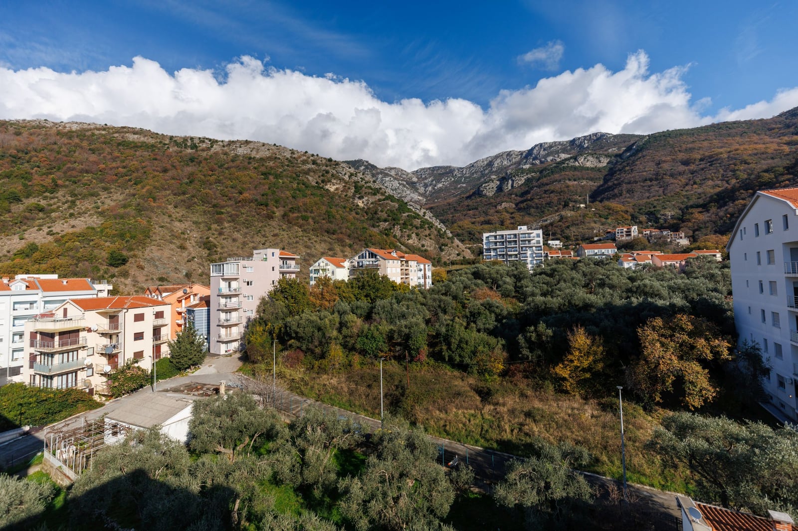 View from the window of a residential complex in Bečići, Montenegro: modern houses, olive groves, and a mountain landscape.