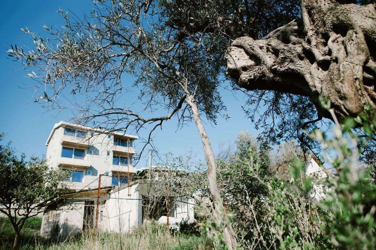 Modern residential house on a plot of land in Shushan, Bar, Montenegro, view of the building among olive trees.