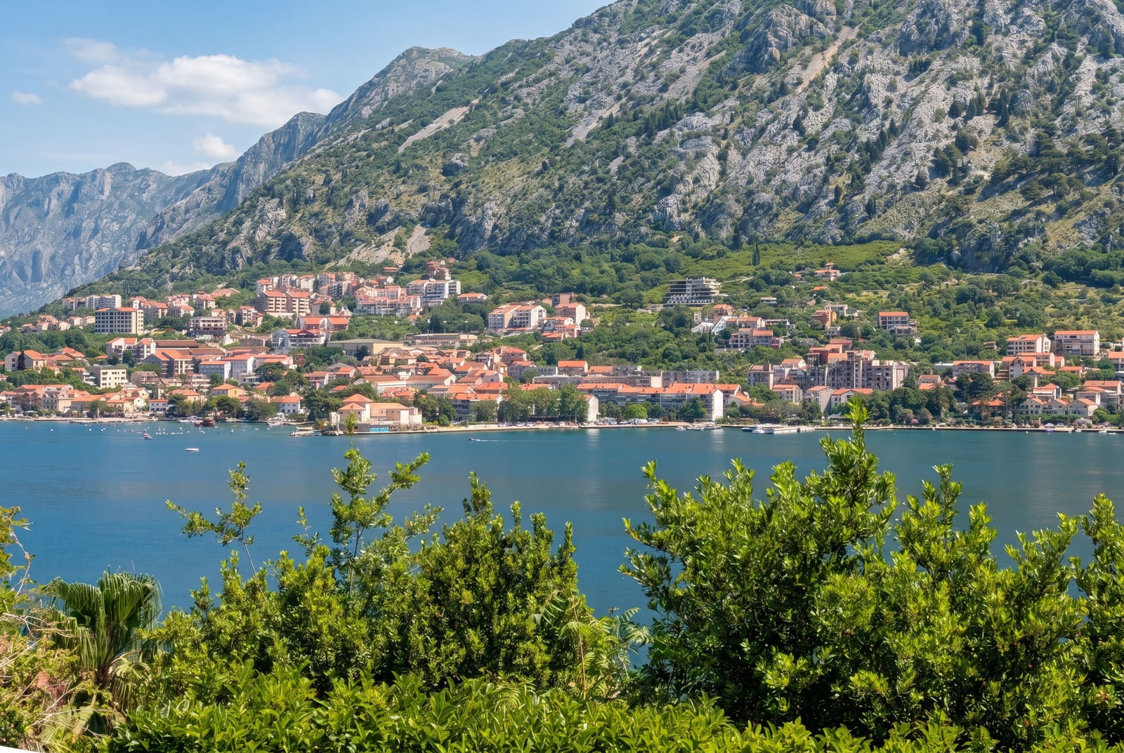 House in Kotor #2754