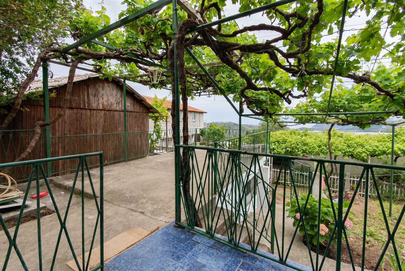 Terrace of a house in Sutomore, Montenegro, featuring a grapevine canopy, metal railing, and a view of the garden.