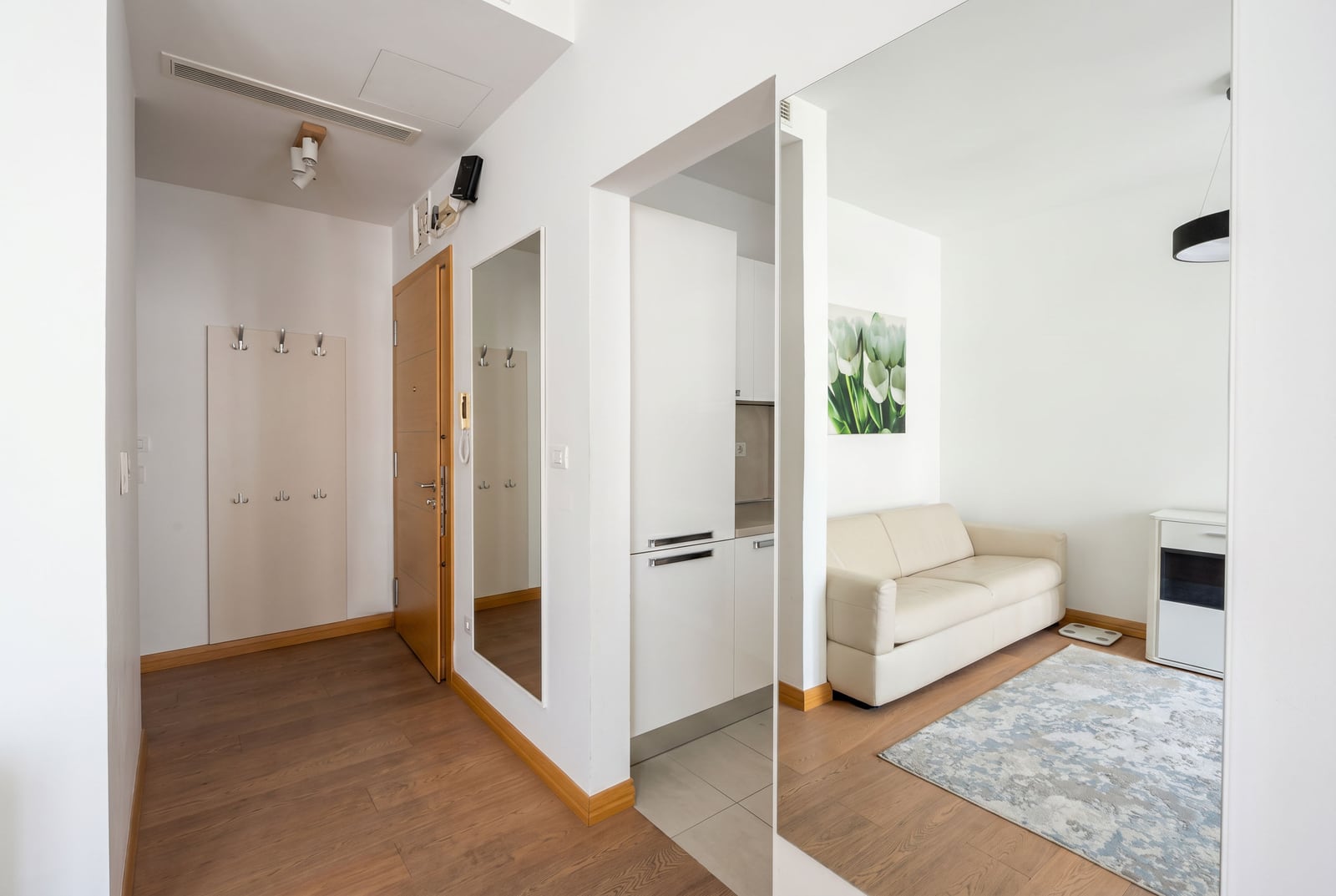 Modern living room with a kitchen in a Budva apartment, Montenegro: light-colored sofa, laminate flooring, mirrors, and built-in furniture.