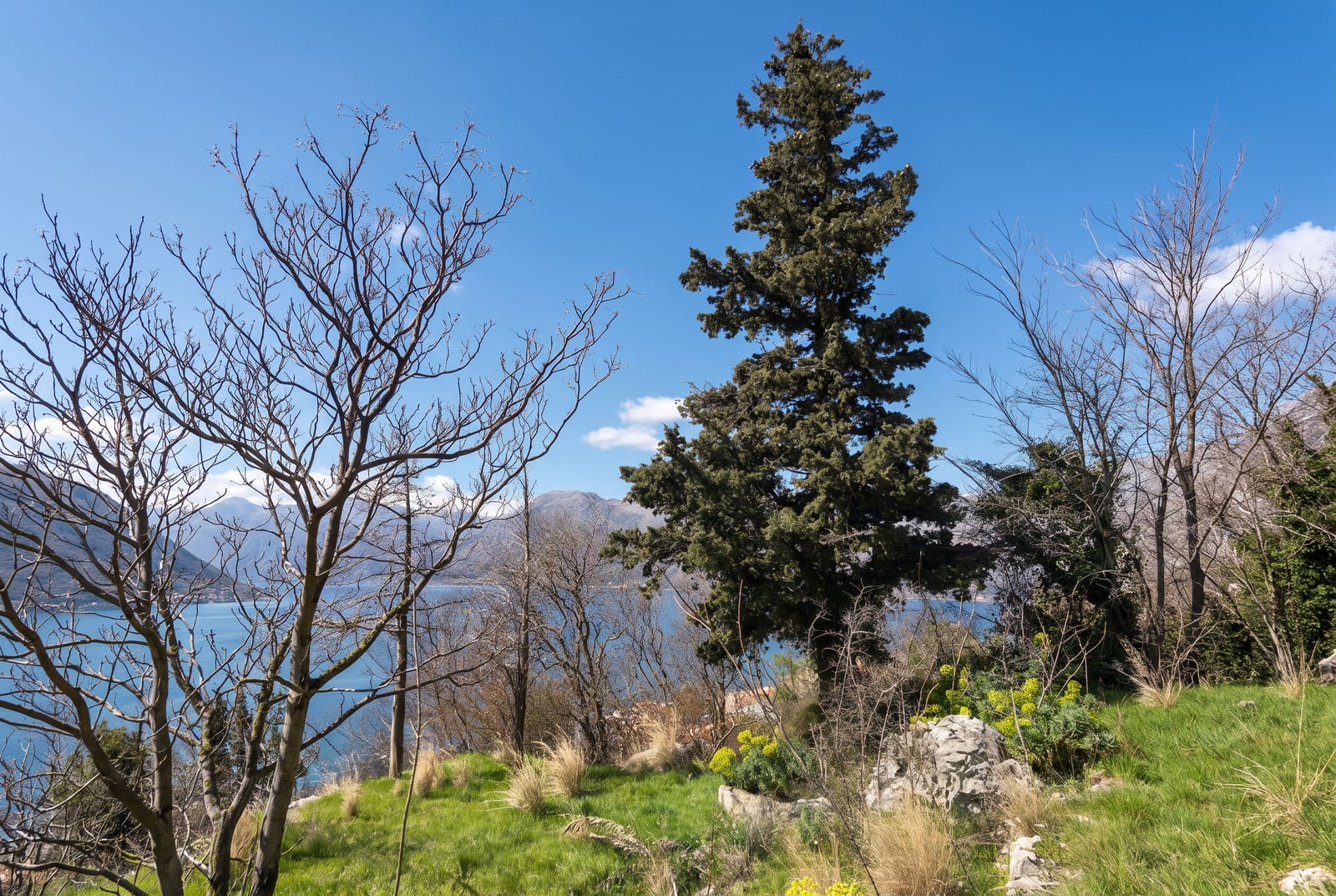 Natural landscape featuring a green grassy slope, trees, and a view of a lake and mountains under a clear blue sky.