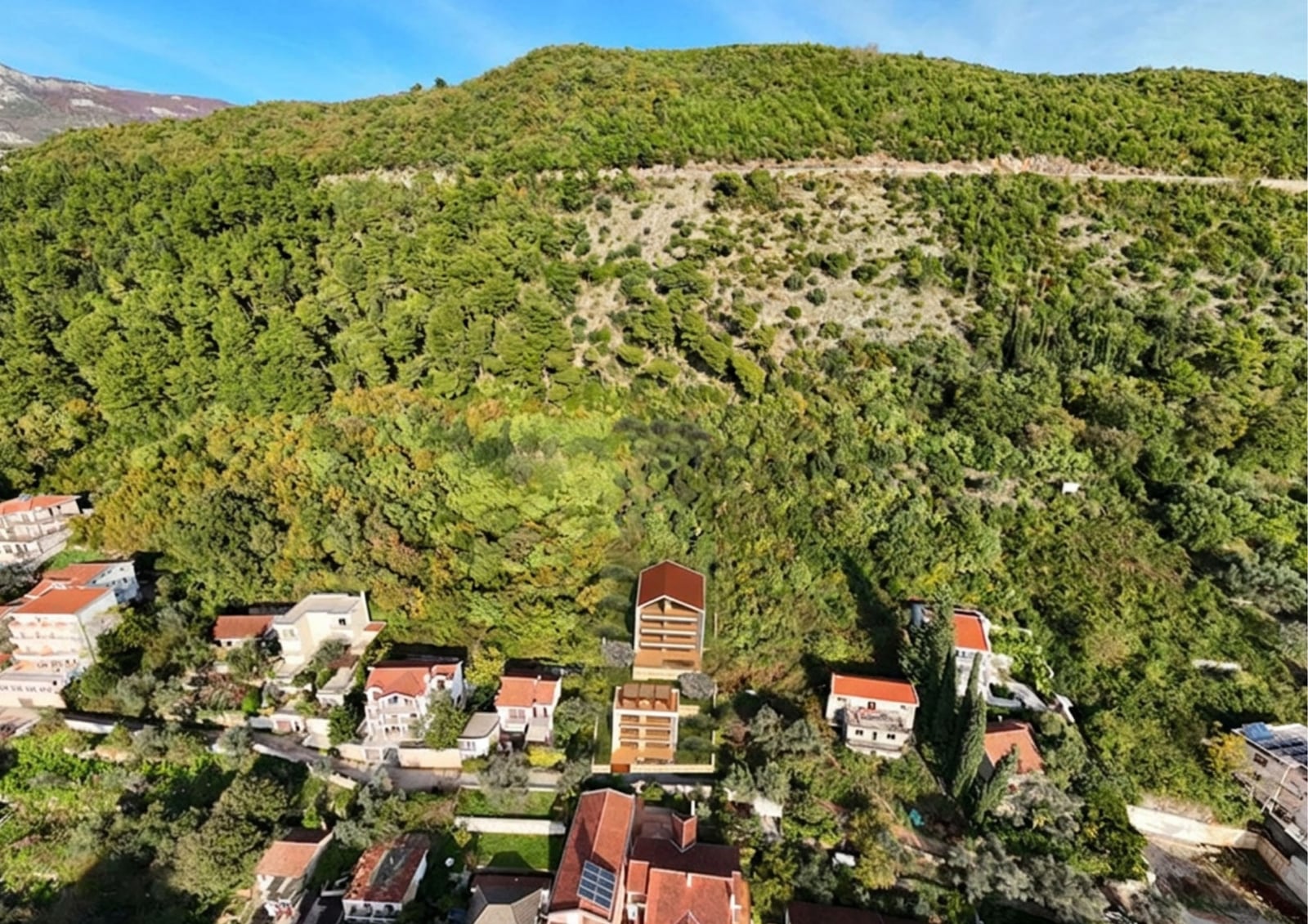 Aerial view of houses with red roofs nestled at the base of a steep, densely forested green hillside.