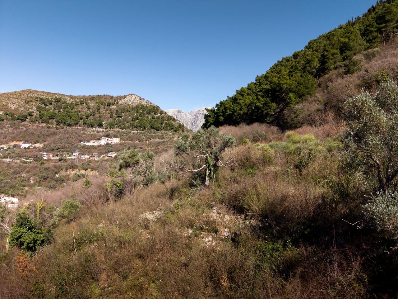Land plot in Kotor, Montenegro: panoramic view of mountains, hilly landscape, and Mediterranean vegetation.