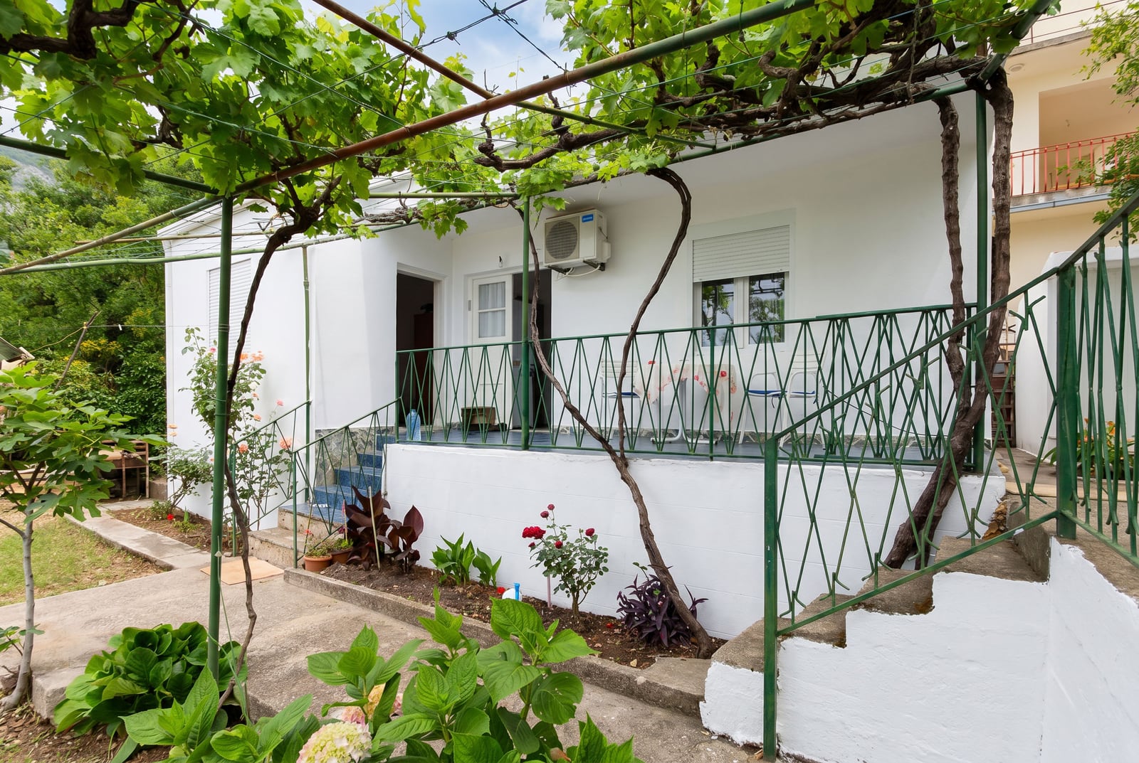 White house with a terrace and grapevines in the garden, real estate for sale in Sutomore, Montenegro.