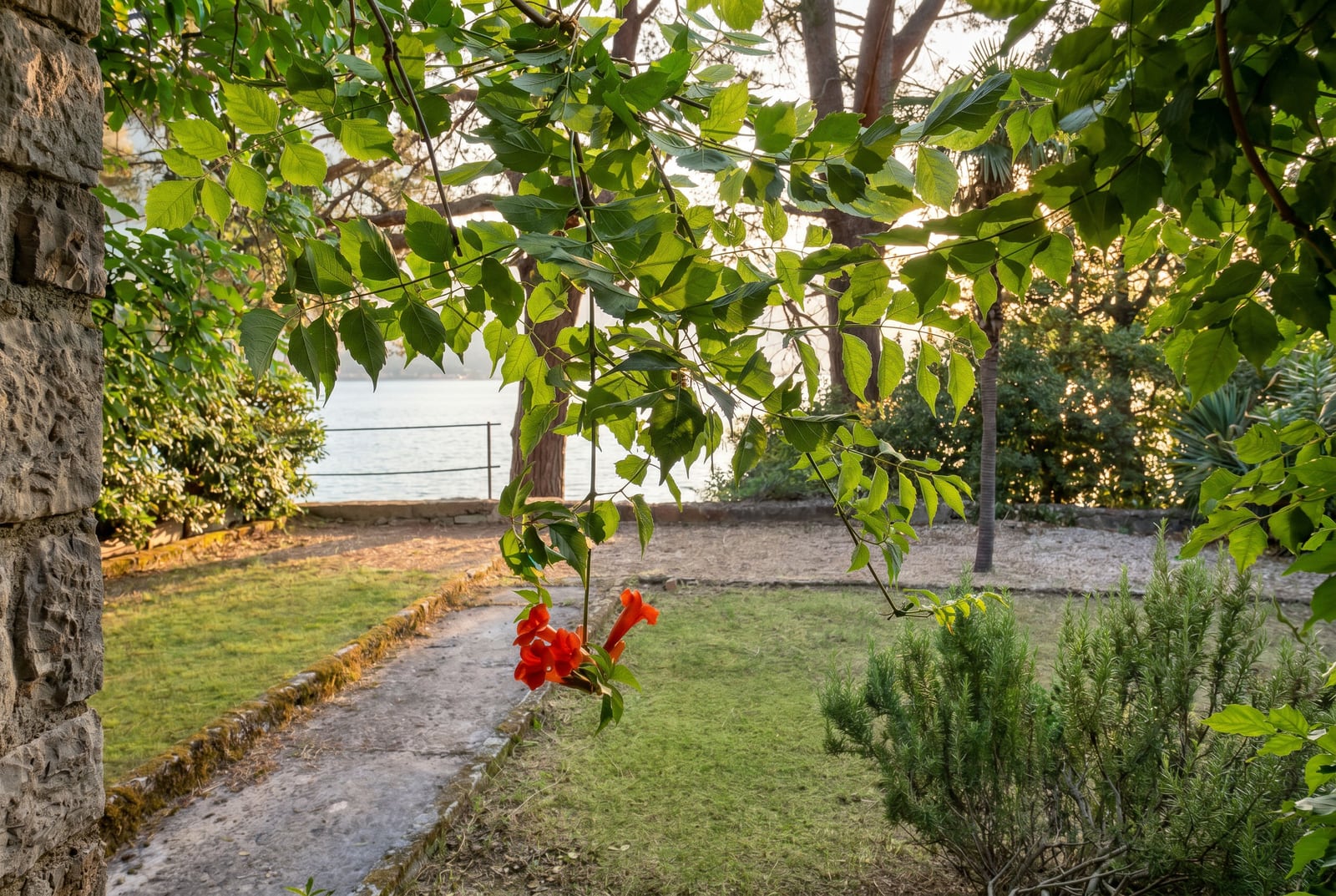 Green garden with a sea view at a house in Dobrota, Montenegro: stone masonry, blooming plants, and access to the coast.